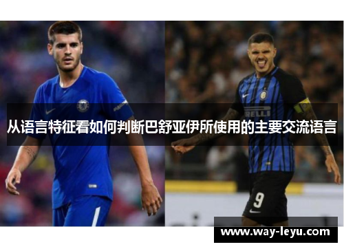 从语言特征看如何判断巴舒亚伊所使用的主要交流语言 从语言特征看如何判断巴舒亚伊所使用的主要交流语言