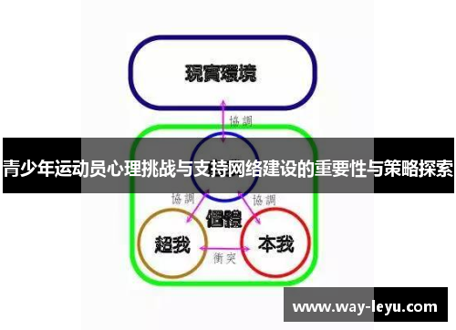 青少年运动员心理挑战与支持网络建设的重要性与策略探索