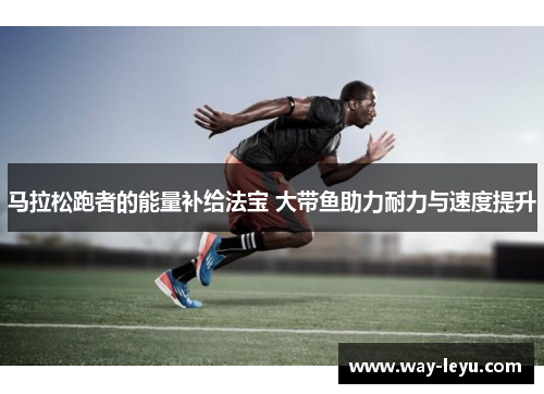 马拉松跑者的能量补给法宝 大带鱼助力耐力与速度提升