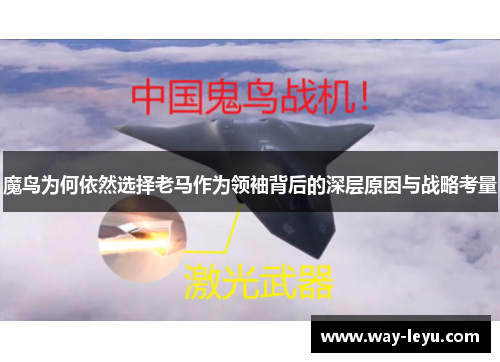 魔鸟为何依然选择老马作为领袖背后的深层原因与战略考量