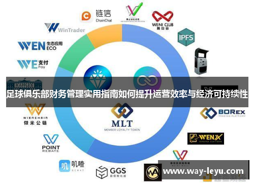足球俱乐部财务管理实用指南如何提升运营效率与经济可持续性