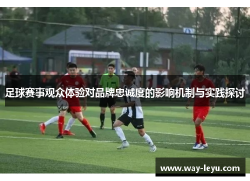 足球赛事观众体验对品牌忠诚度的影响机制与实践探讨 足球赛事观众体验对品牌忠诚度的影响机制与实践探讨