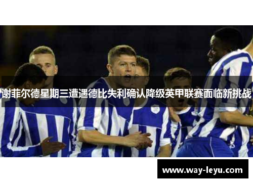 谢菲尔德星期三遭遇德比失利确认降级英甲联赛面临新挑战