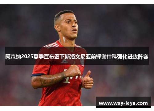 阿森纳2025夏季宣布签下斯洛文尼亚前锋谢什科强化进攻阵容