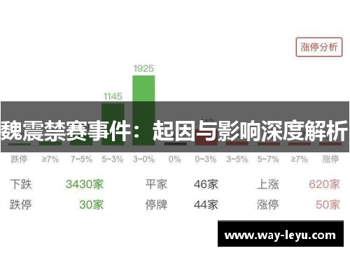 魏震禁赛事件：起因与影响深度解析