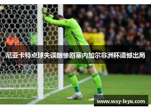 尼亚卡特点球失误酿惨剧塞内加尔非洲杯遗憾出局